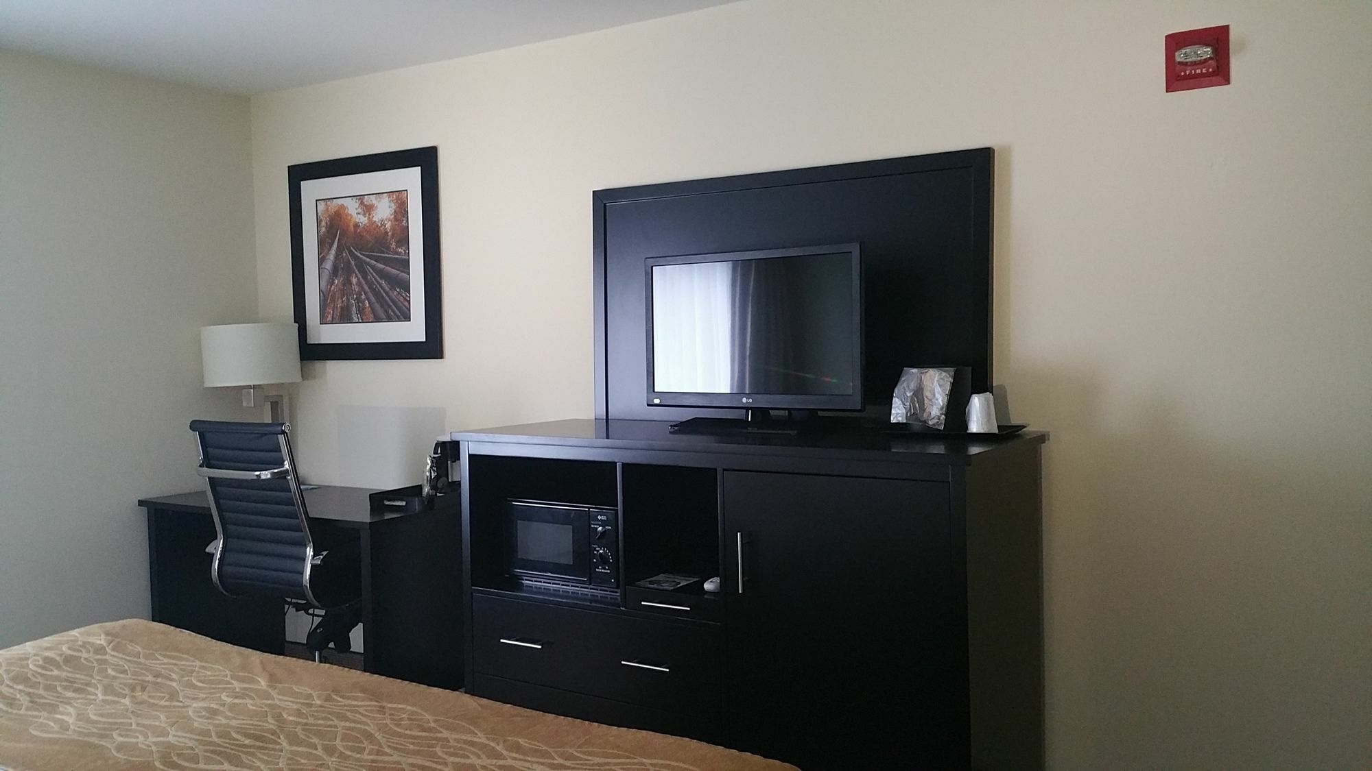 Oyo Hotel Rome West Ga Екстериор снимка